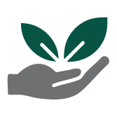 environmental Services